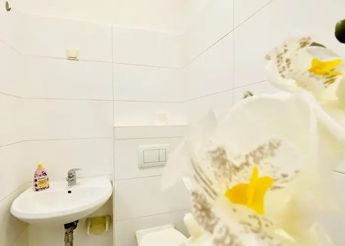 Апартаменти Budget Private In 8-bedroom With Terrace Відень